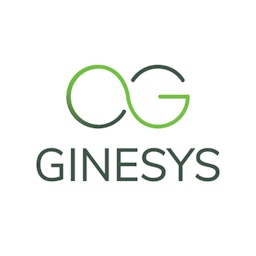 Ginesys One logo